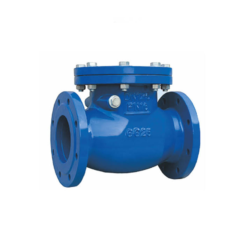 Check Valves